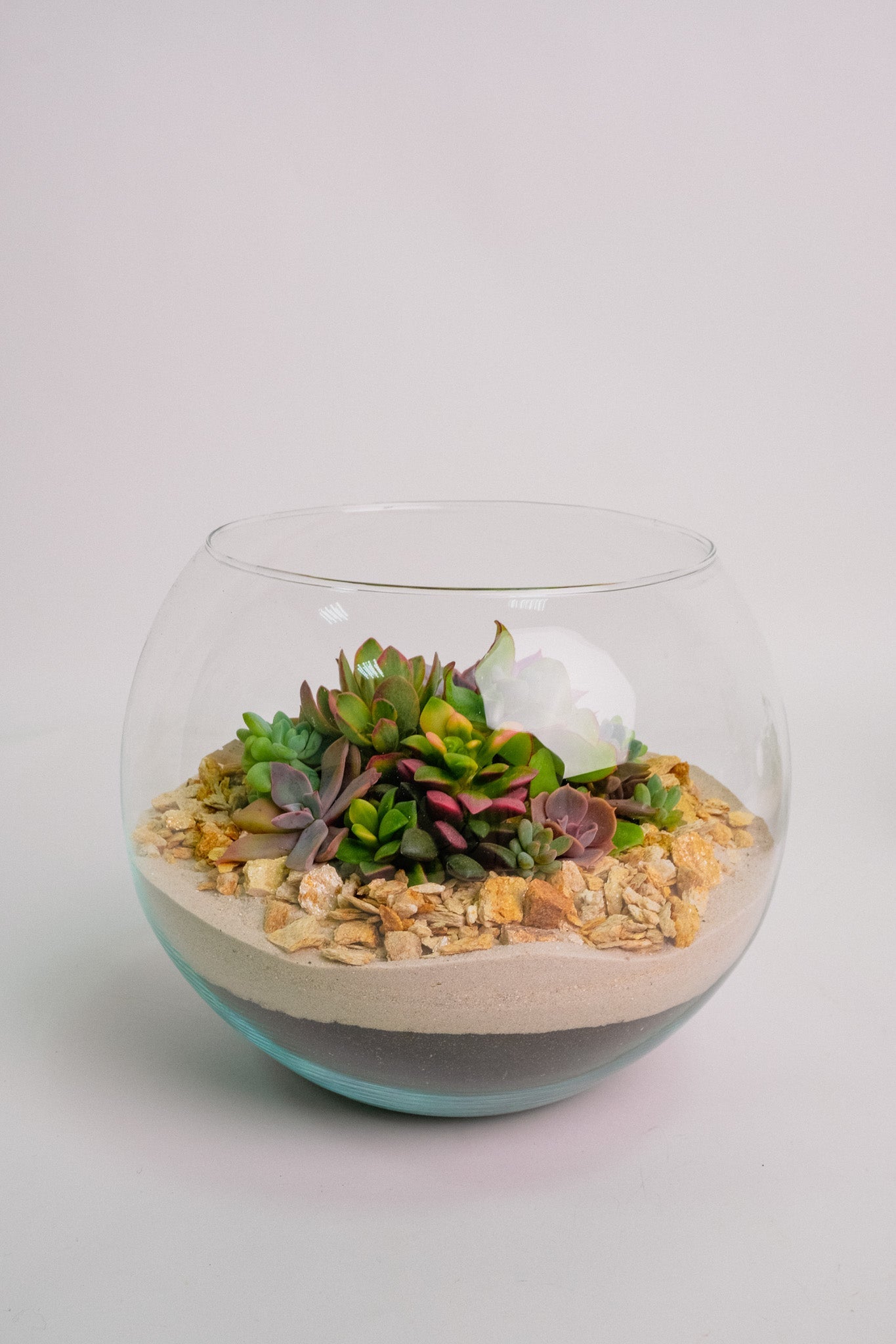 Terariu cu nisip alb mare - Image 0