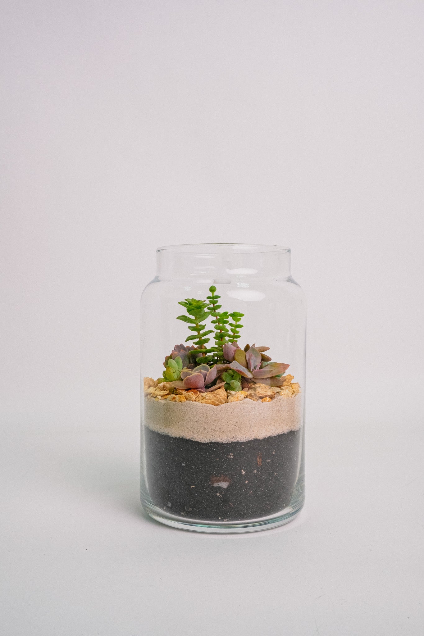 Terariu cu nisip alb mic - Image 02