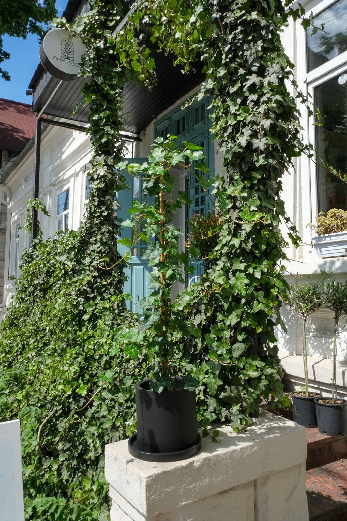 Hedera exterior - Image 6