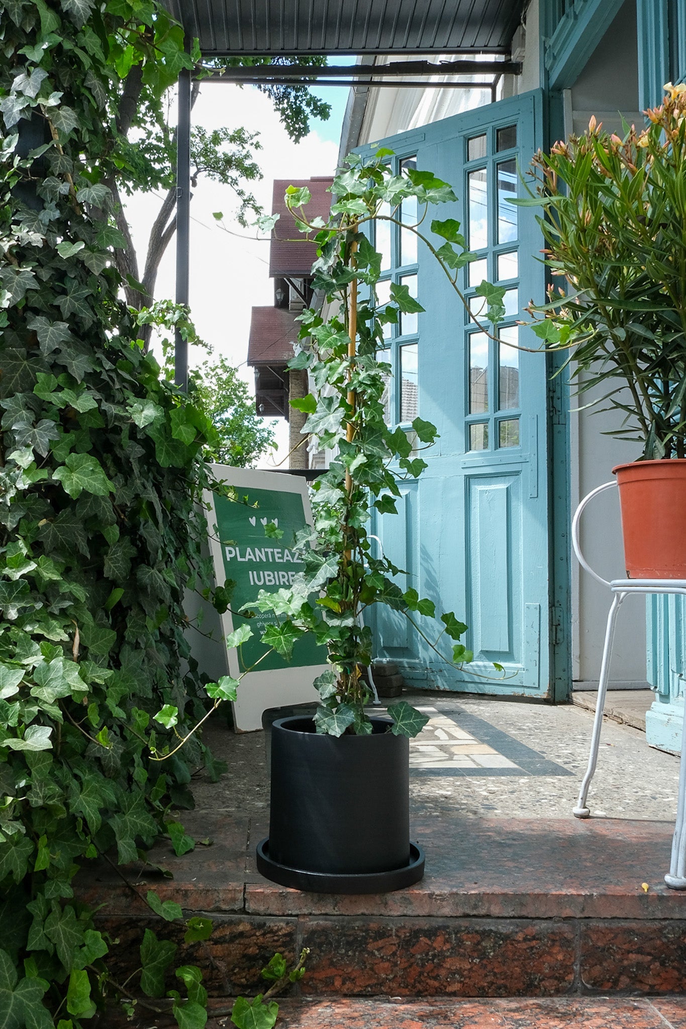 Hedera exterior - Image 8