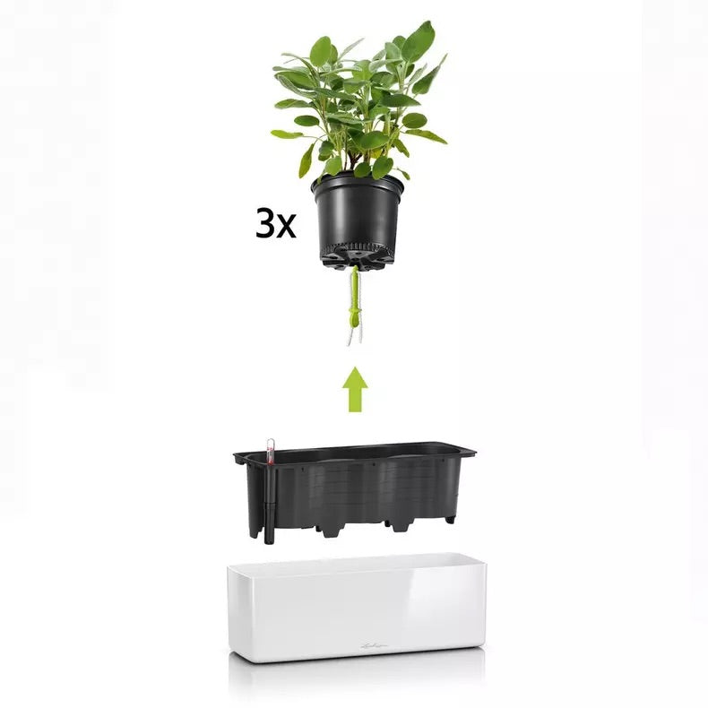 CUBE Glossy Triple