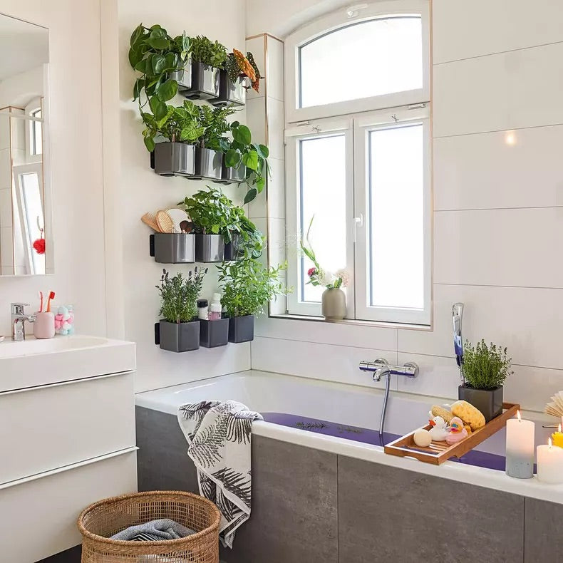 Green Wall CUBE Glossy 14