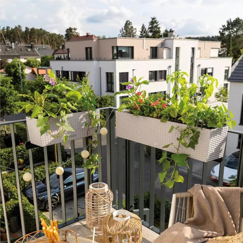Balconera Cottage