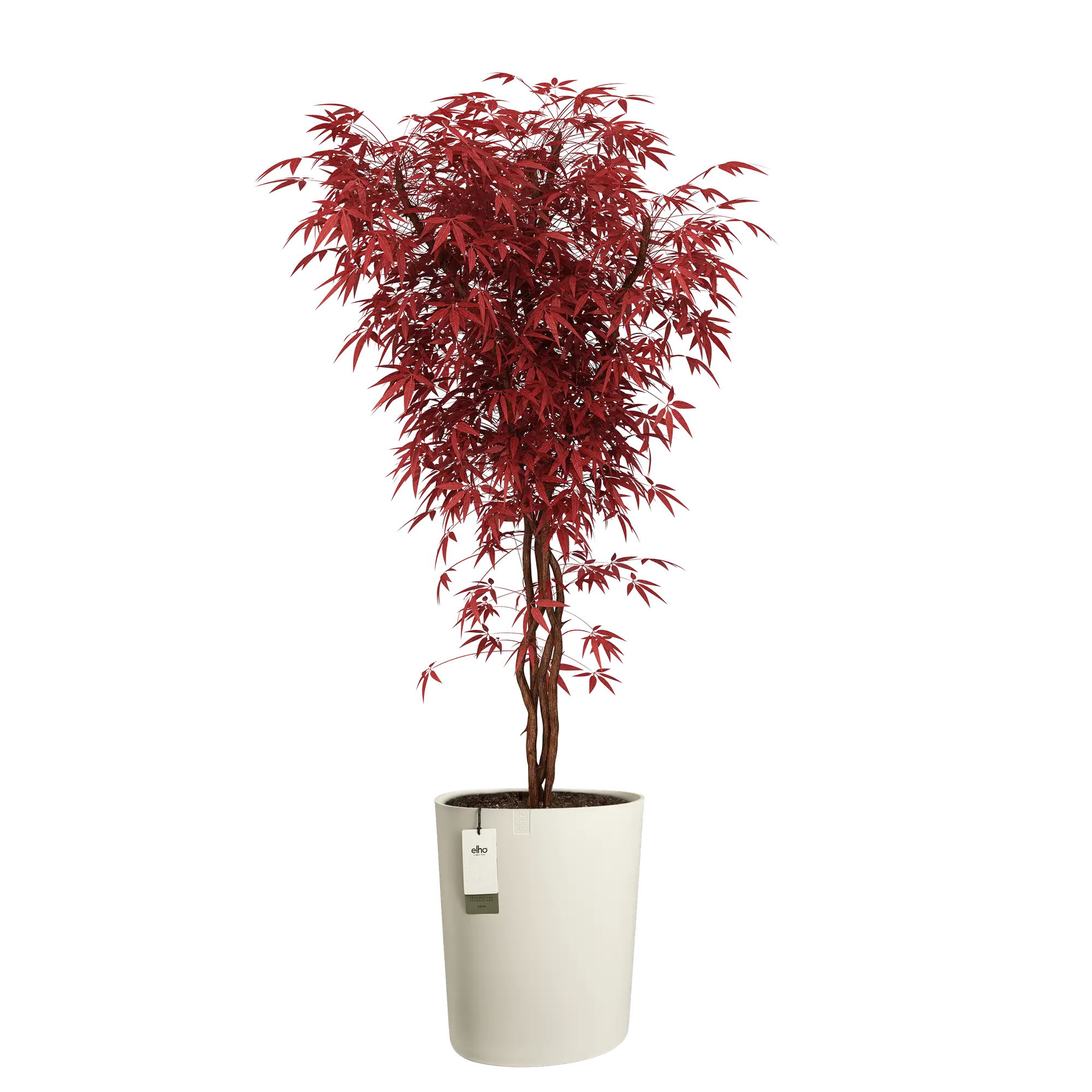 Eden aquacare