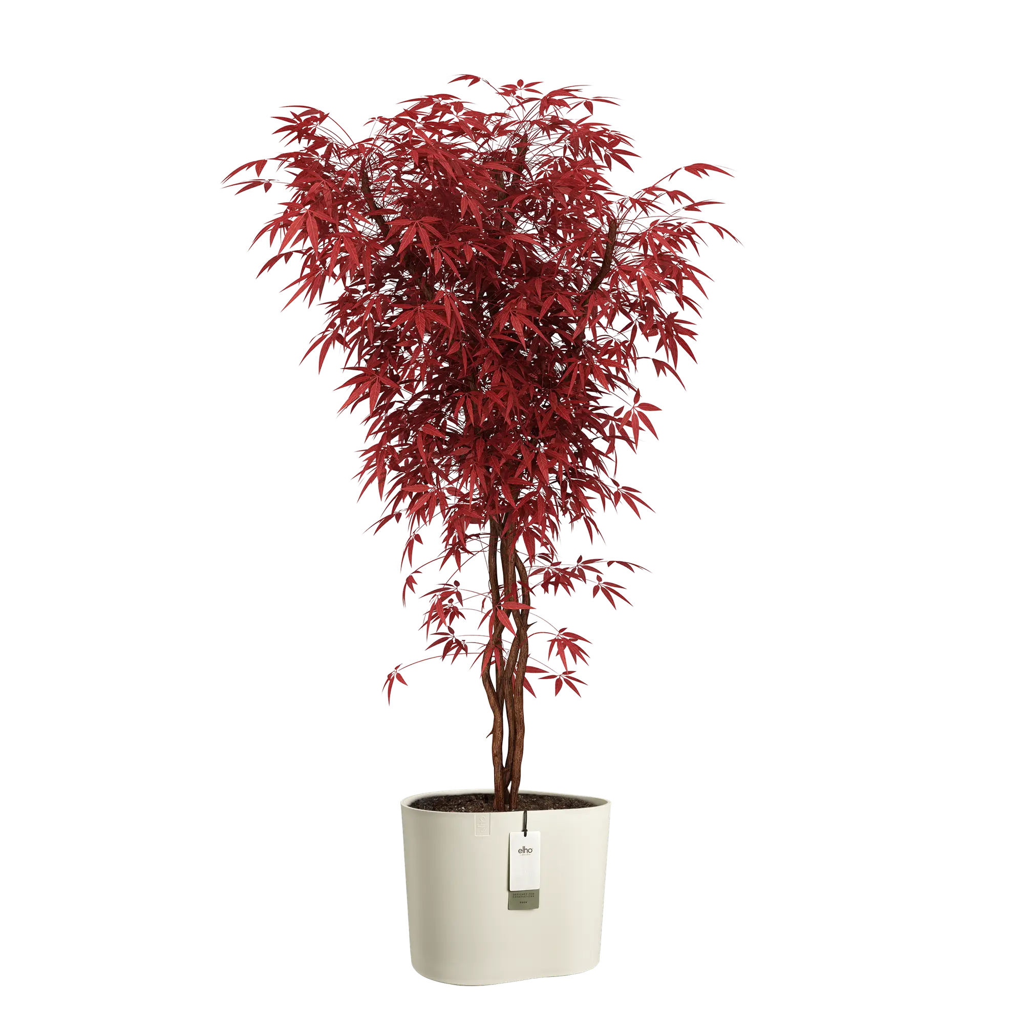 Eden aquacare