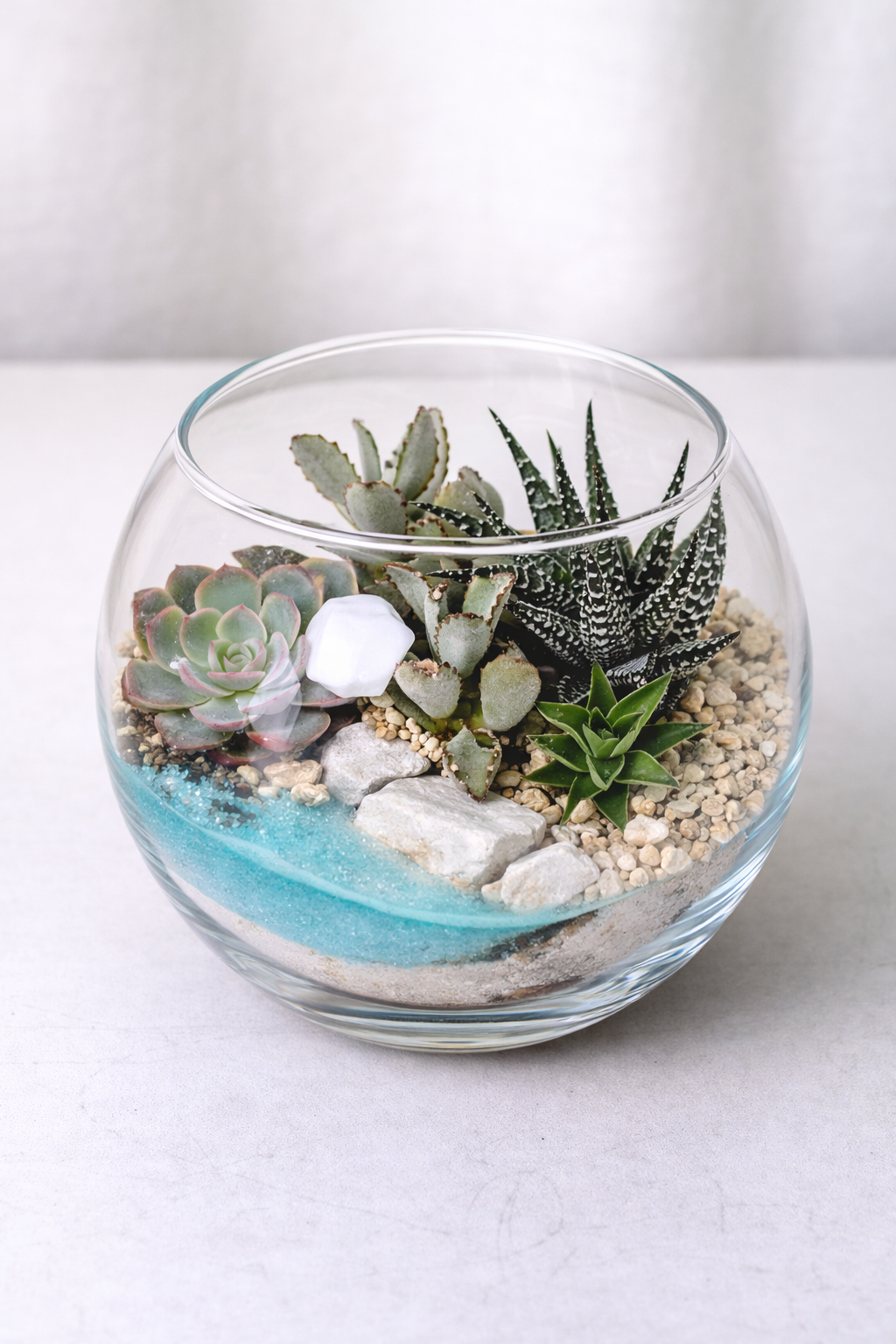Terariu Suculente Cacti Marimo