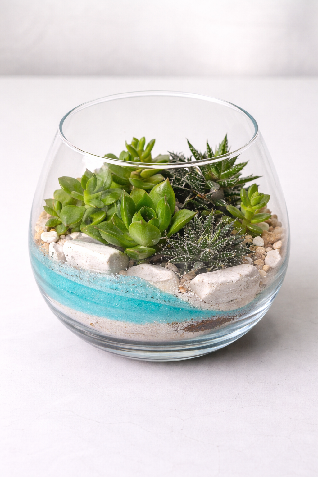 Terariu Suculente Cacti Marimo