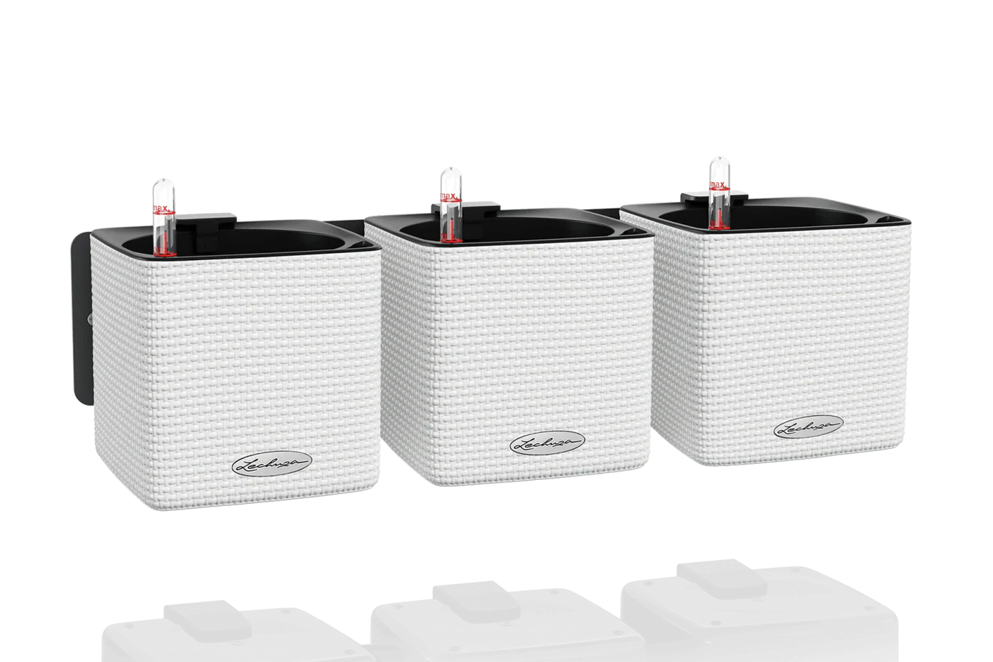 Green Wall CUBE Color 14