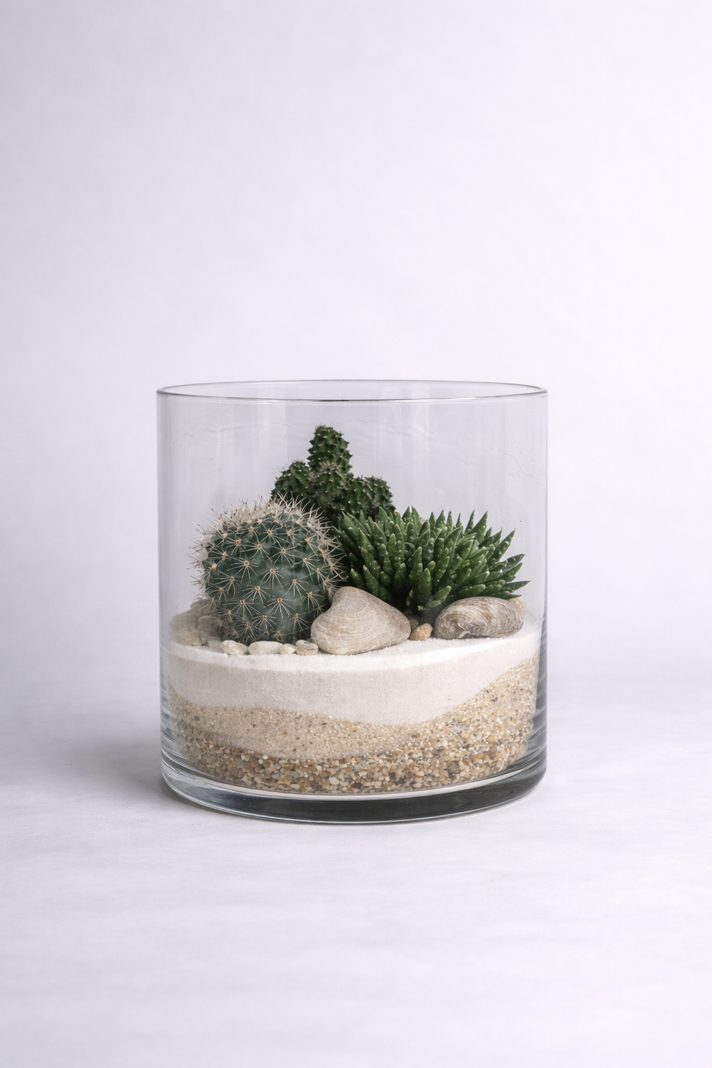 Terariu Suculente Cacti Cilindru