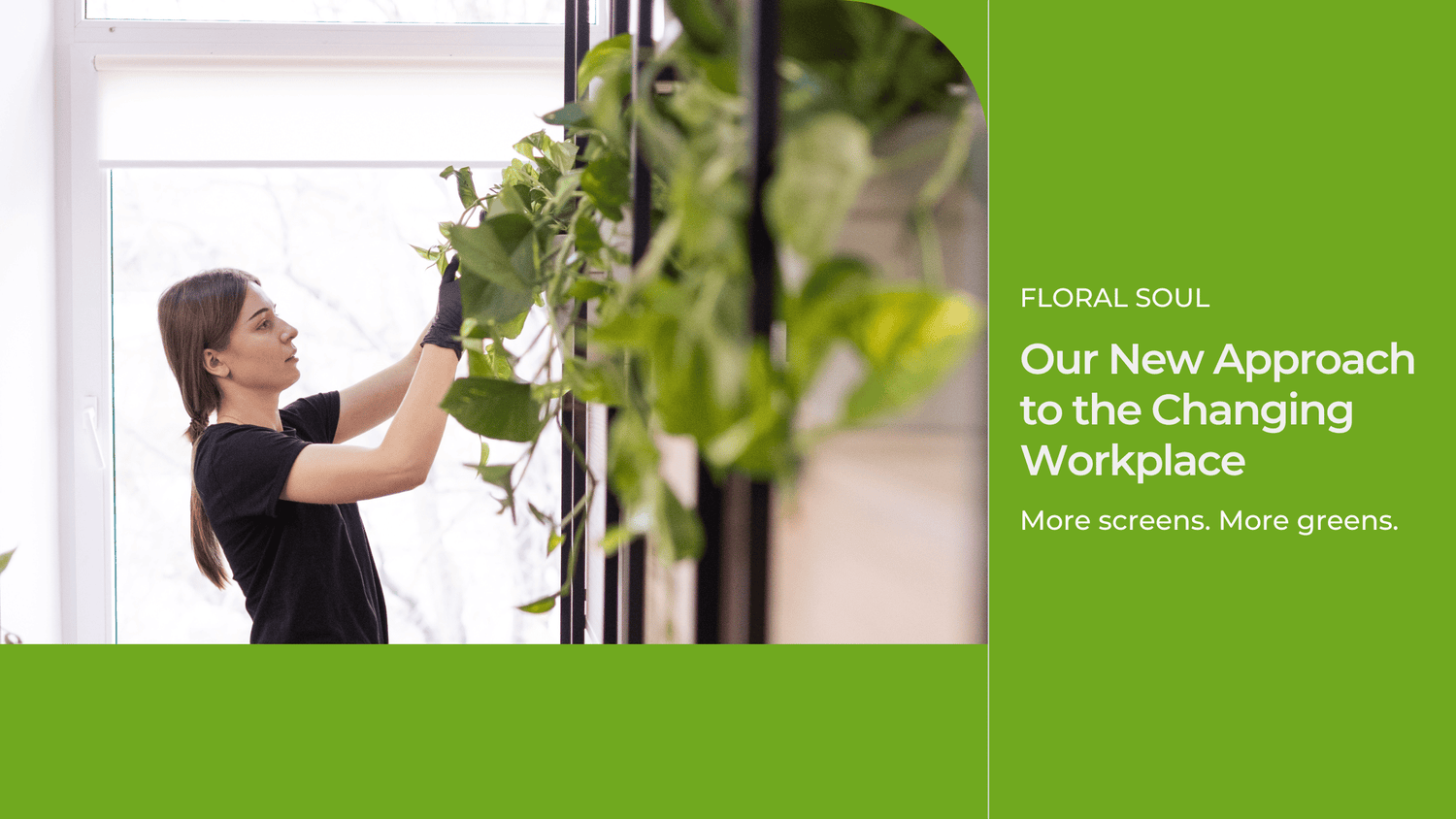 În lumea corporate plantele nu mai sunt doar obiecte de decor, ci o necesitate