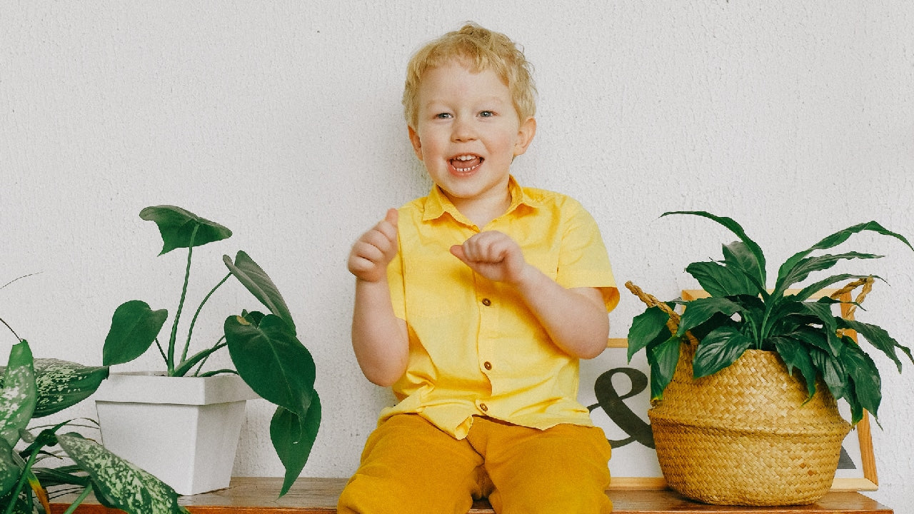 Top cinci plante de interior non-toxice pentru copii