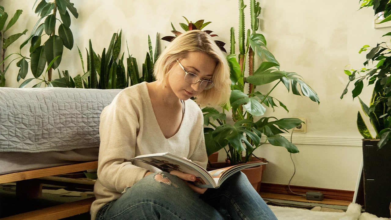 Cine are grijă de plante iarna, se bucură de ele și primăvara: 9 sfaturi utile de îngrijire în sezonul rece de la Floral Soul