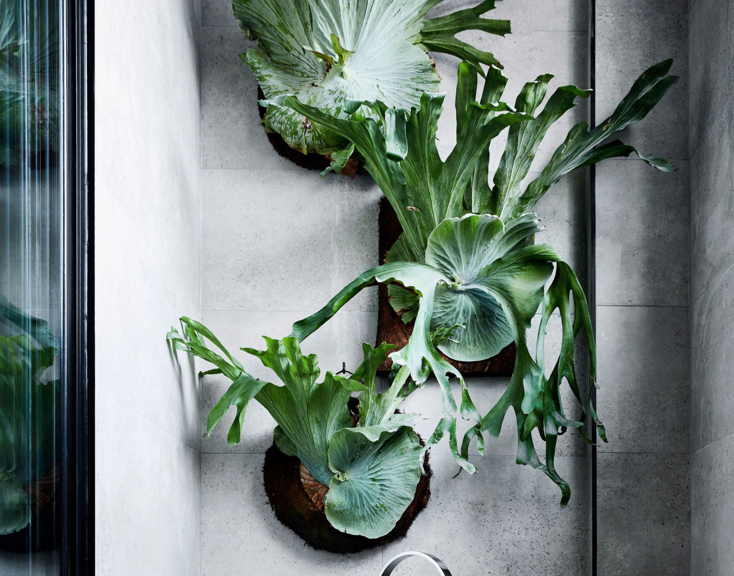 Mai aproape de natură: tendințe în design biofilic pentru anul 2024