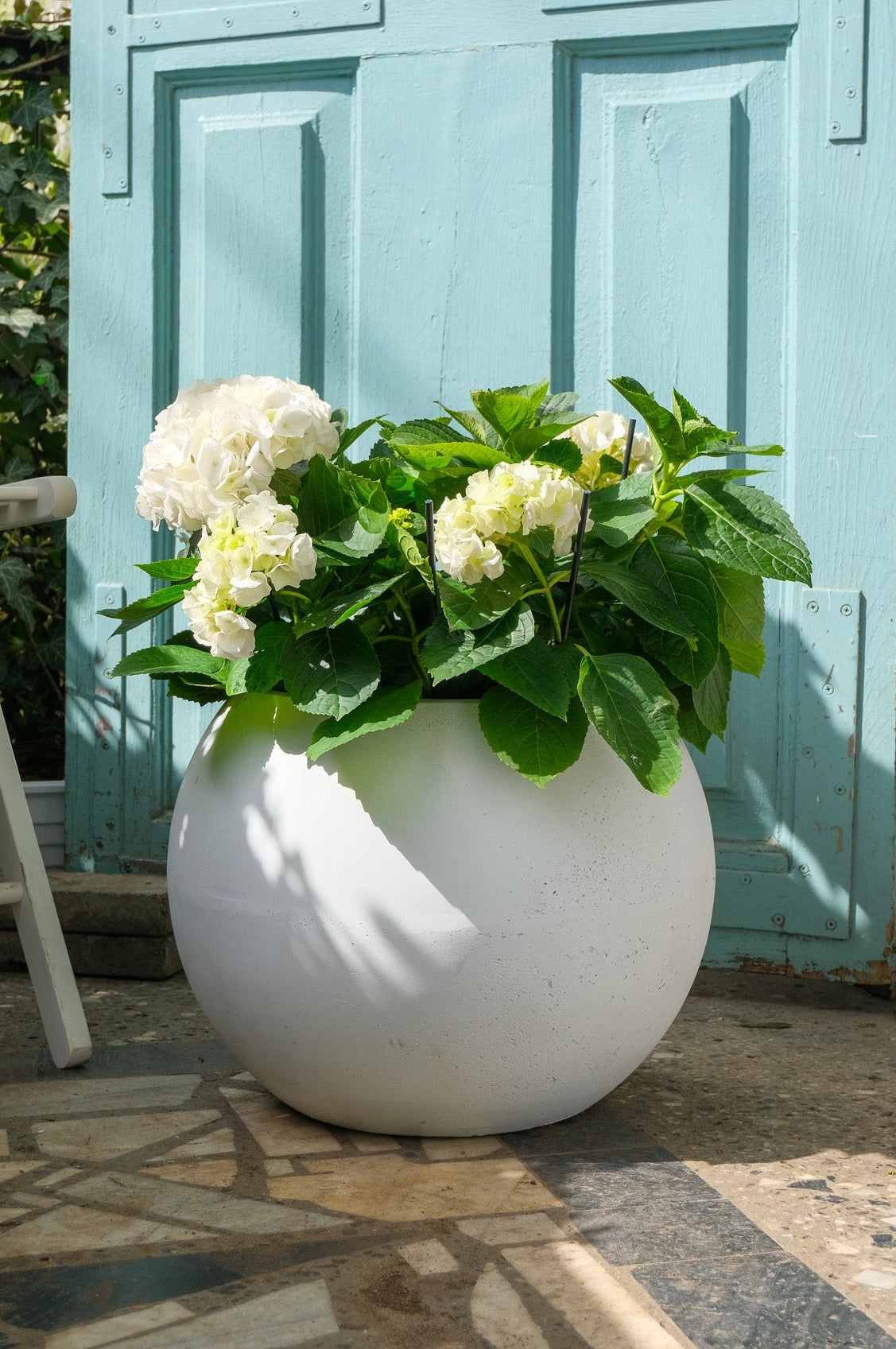 Hortensie exterior - Image 1