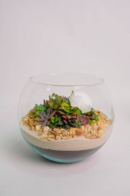 Terariu cu nisip alb mare - Image 0