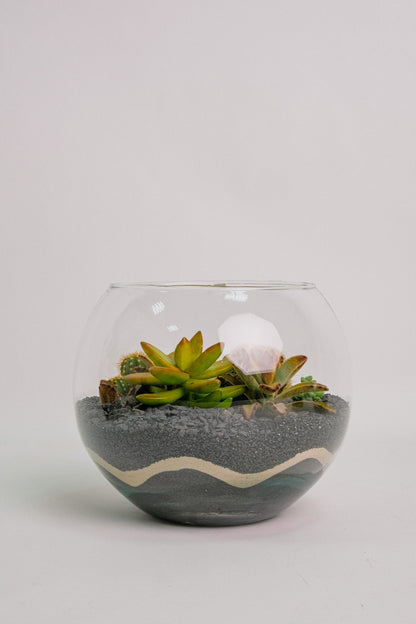 Terariu cu nisip negru mare - Image 0