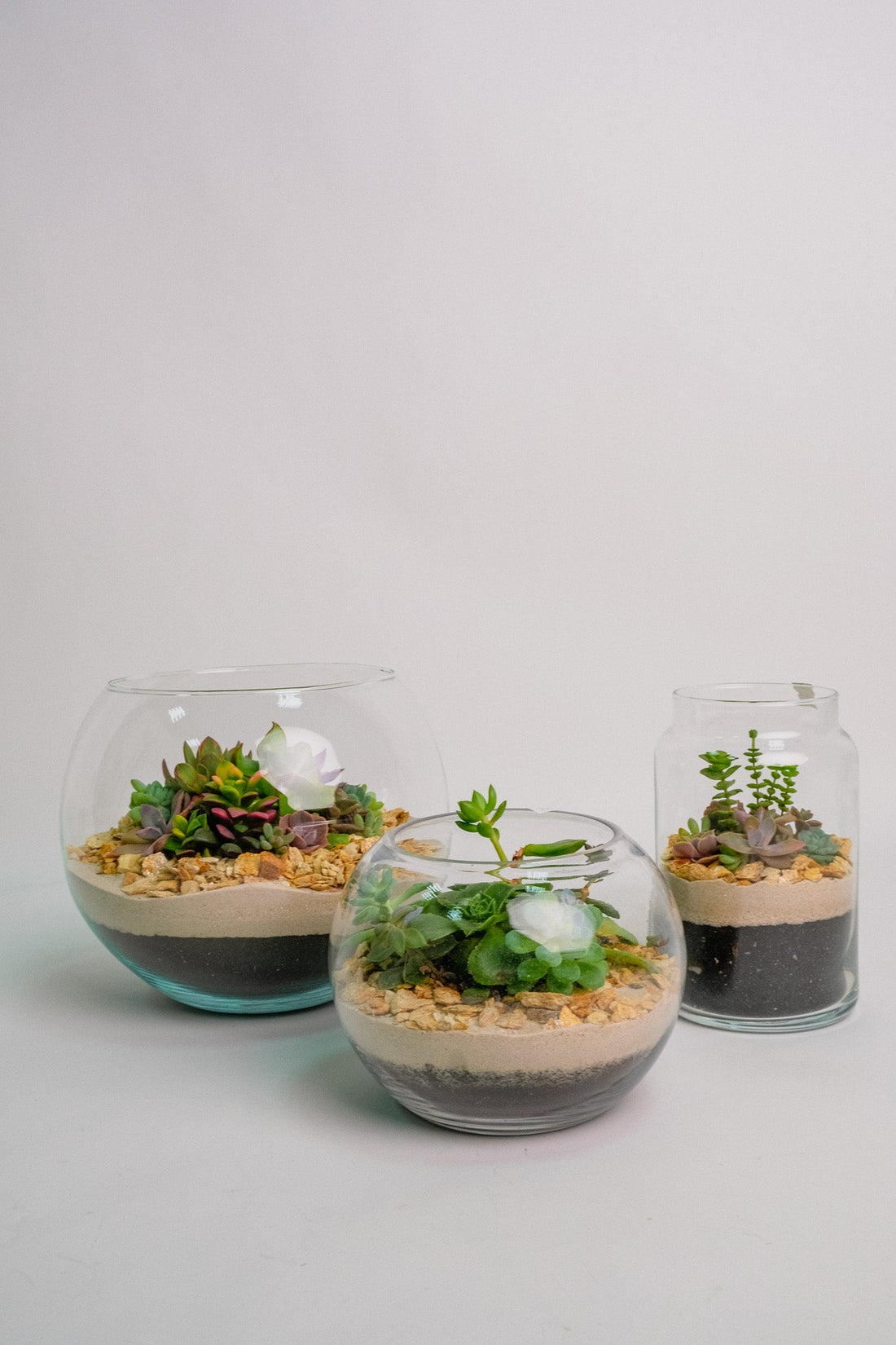 Terariu cu nisip alb mic - Image 03