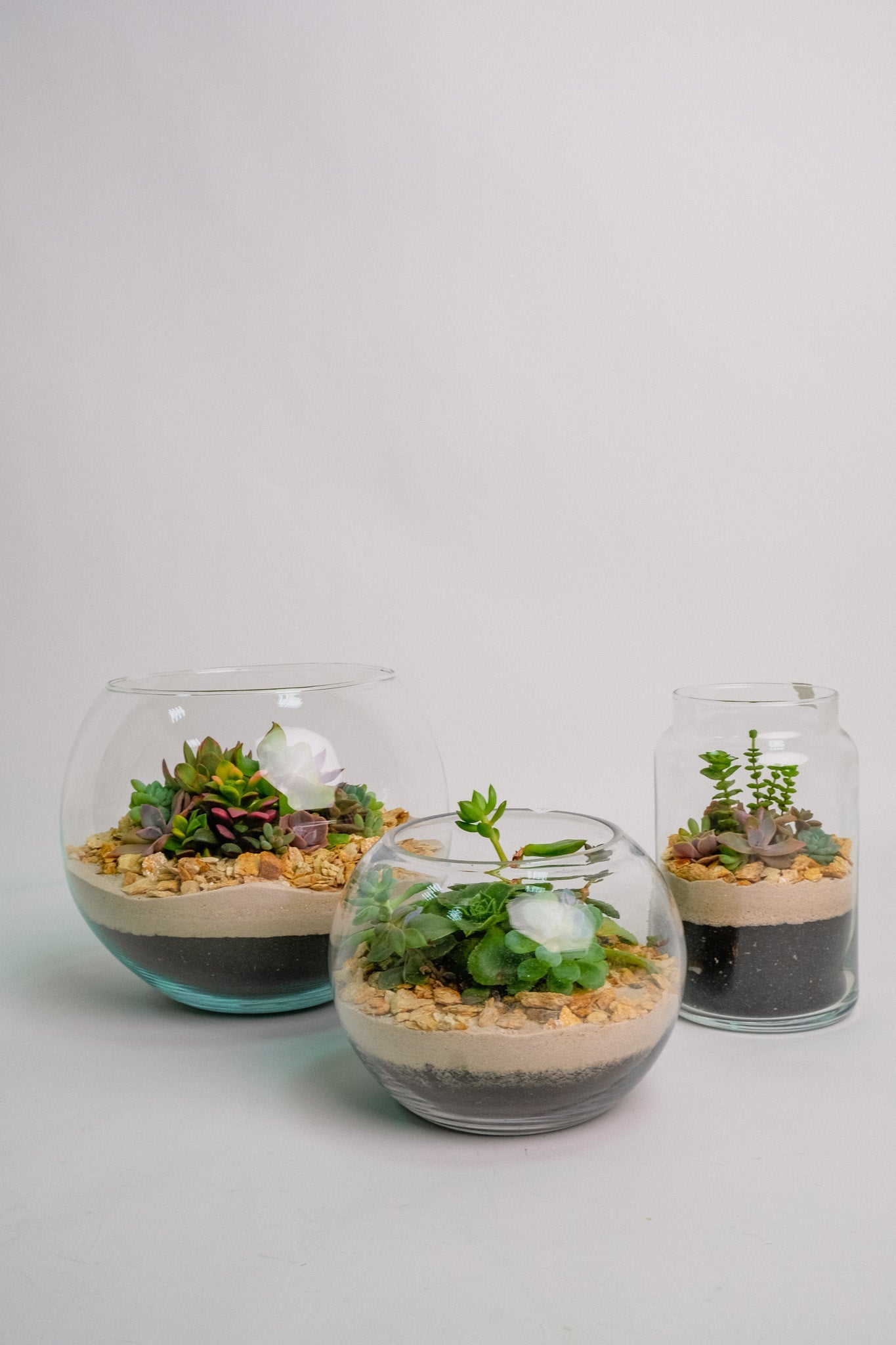 Terariu cu nisip alb mare - Image 03