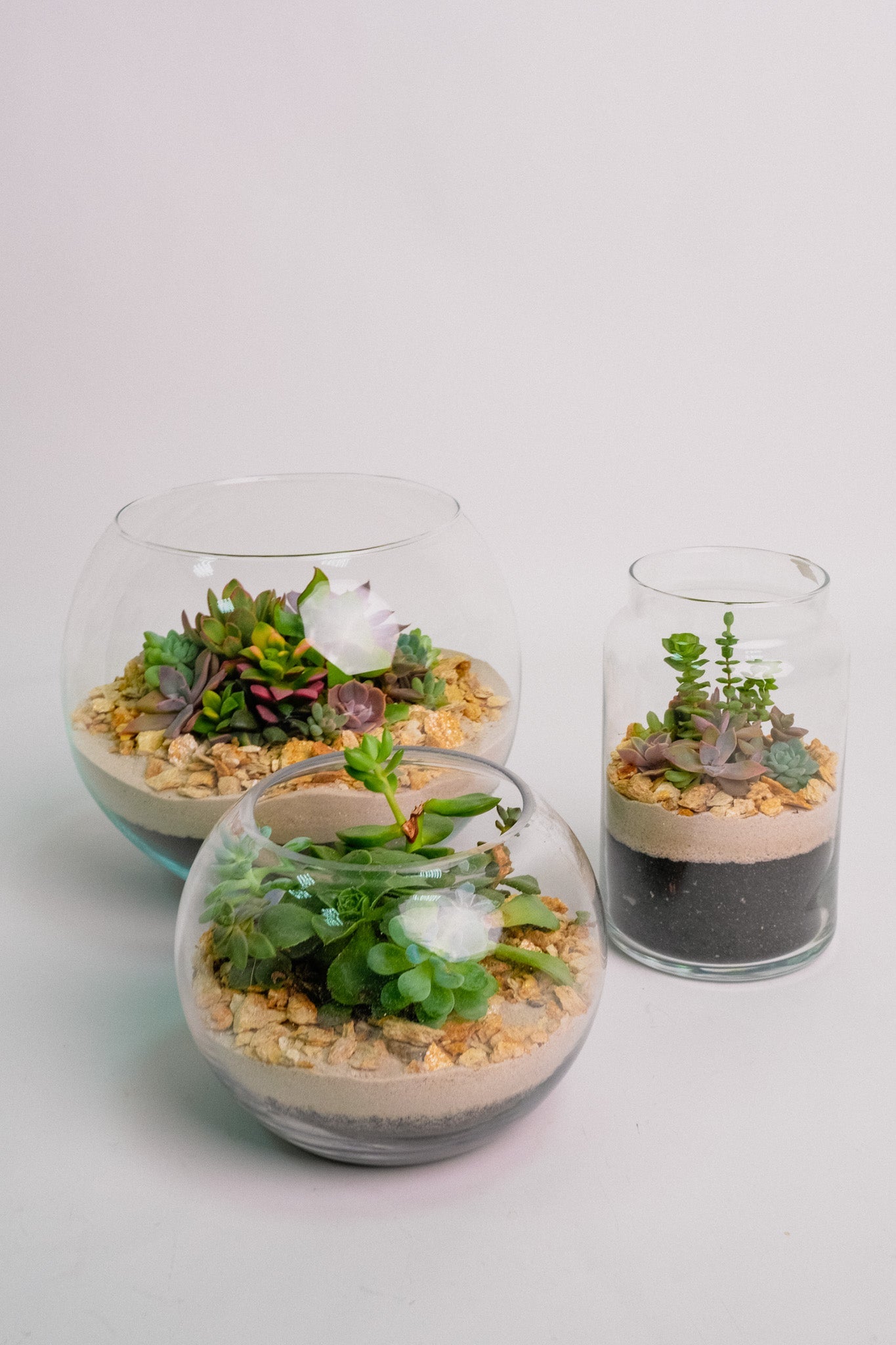 Terariu cu nisip alb mic - Image 04