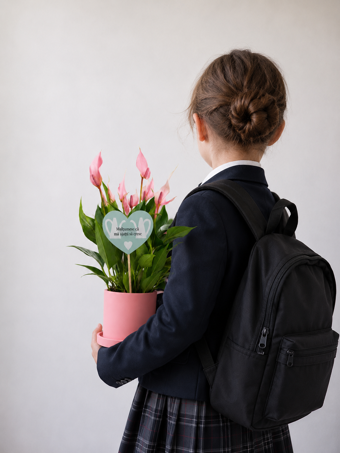 Set 1: Back to School – Anthurium Roz
