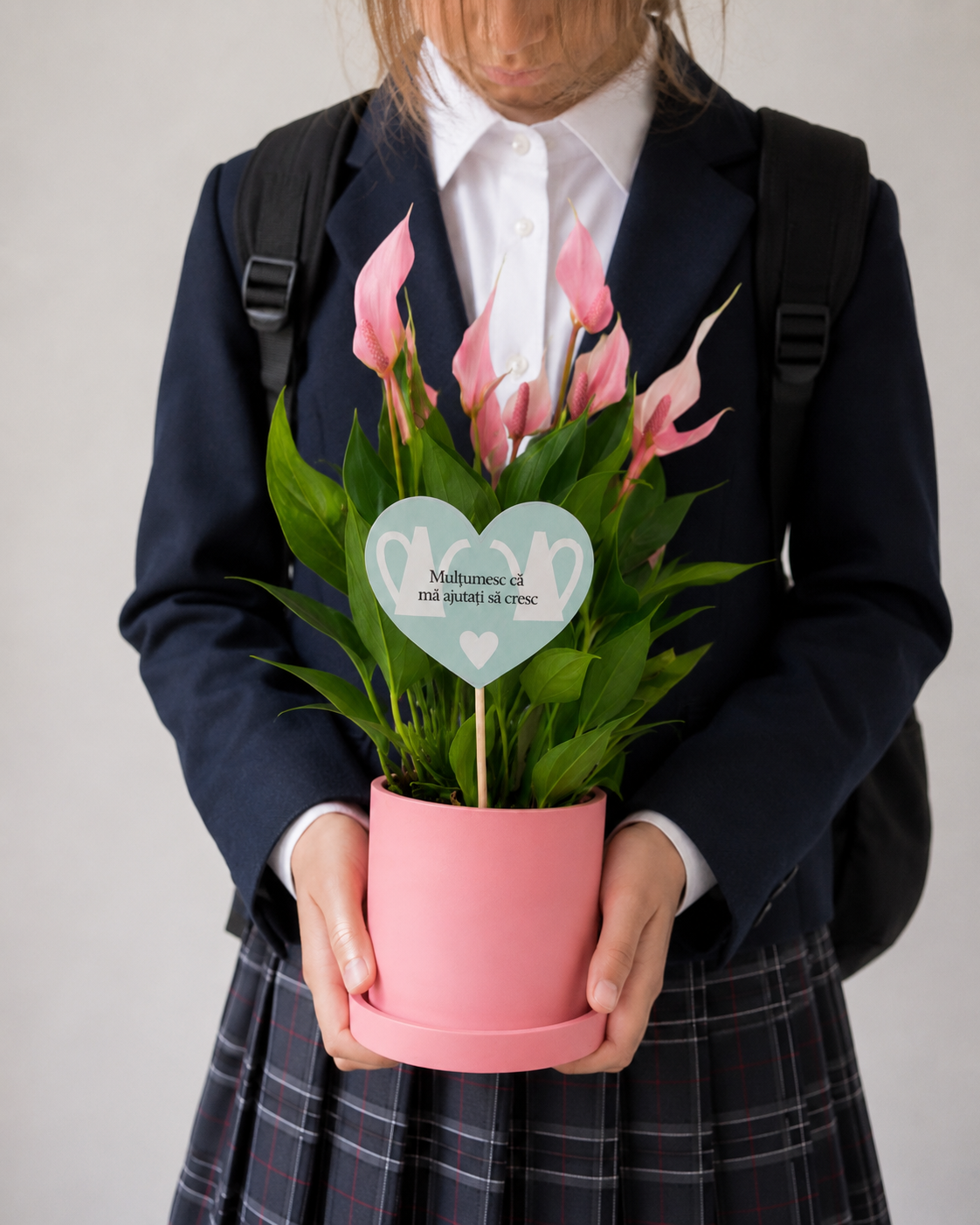 Set 1: Back to School – Anthurium Roz