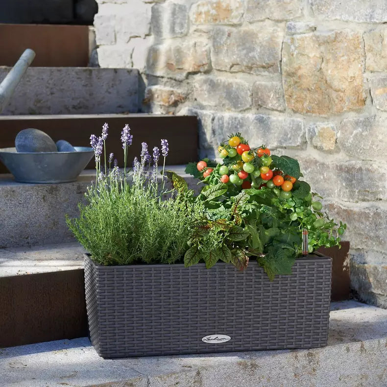Balconera Cottage