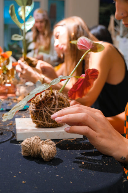 Atelier Kokedama