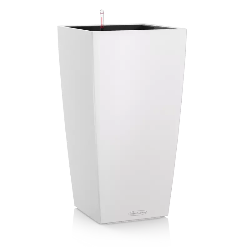 CUBICO Color