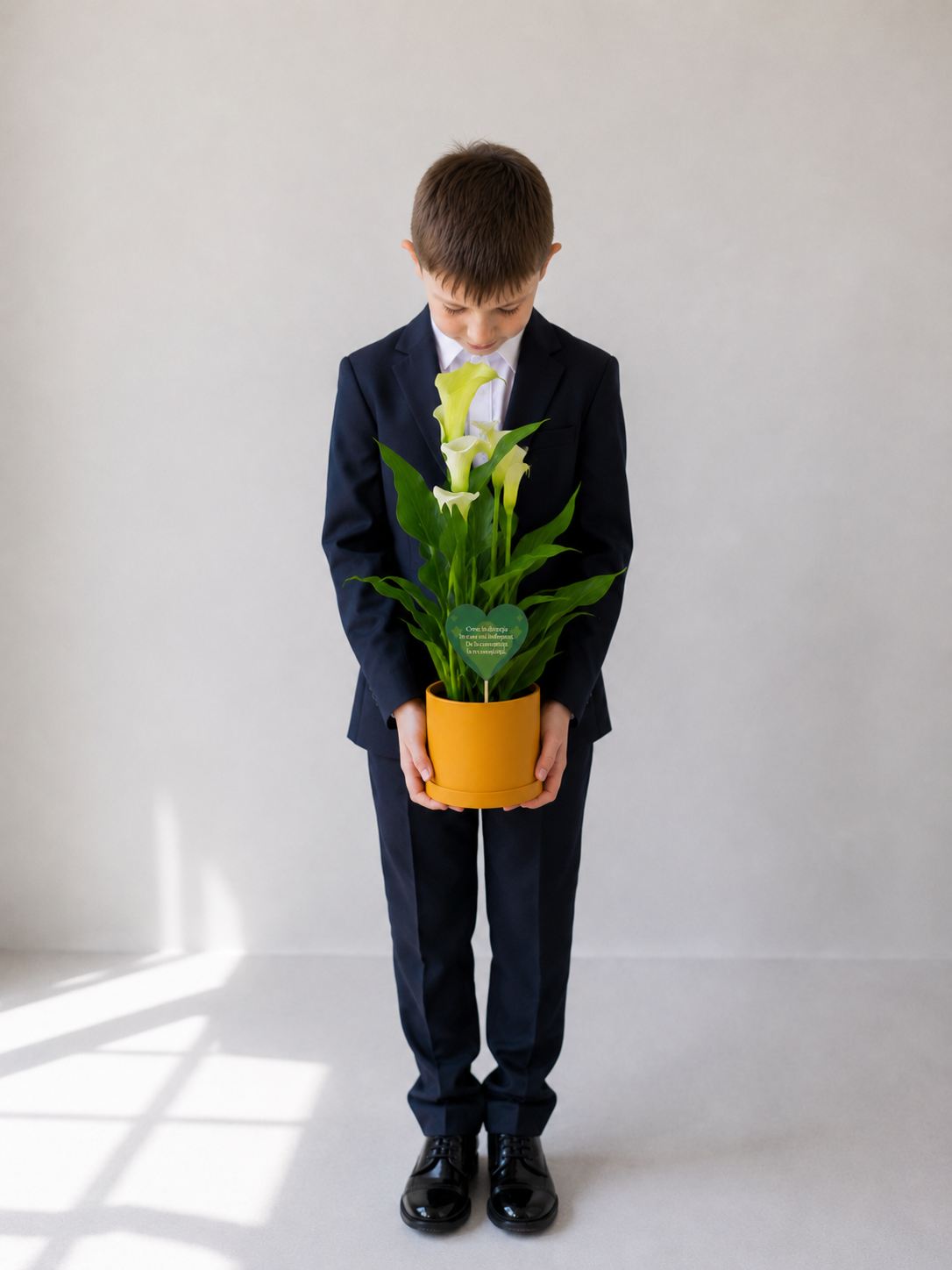 Set 2: Back to School – Calla Mix