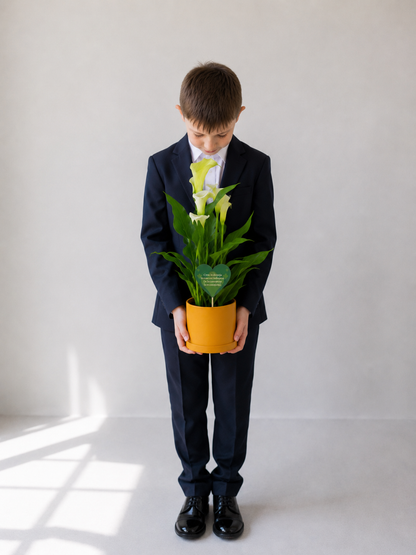 Set 2: Back to School – Calla Mix