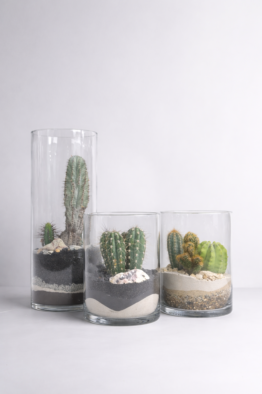 Terariu Suculente Cacti Cilindru