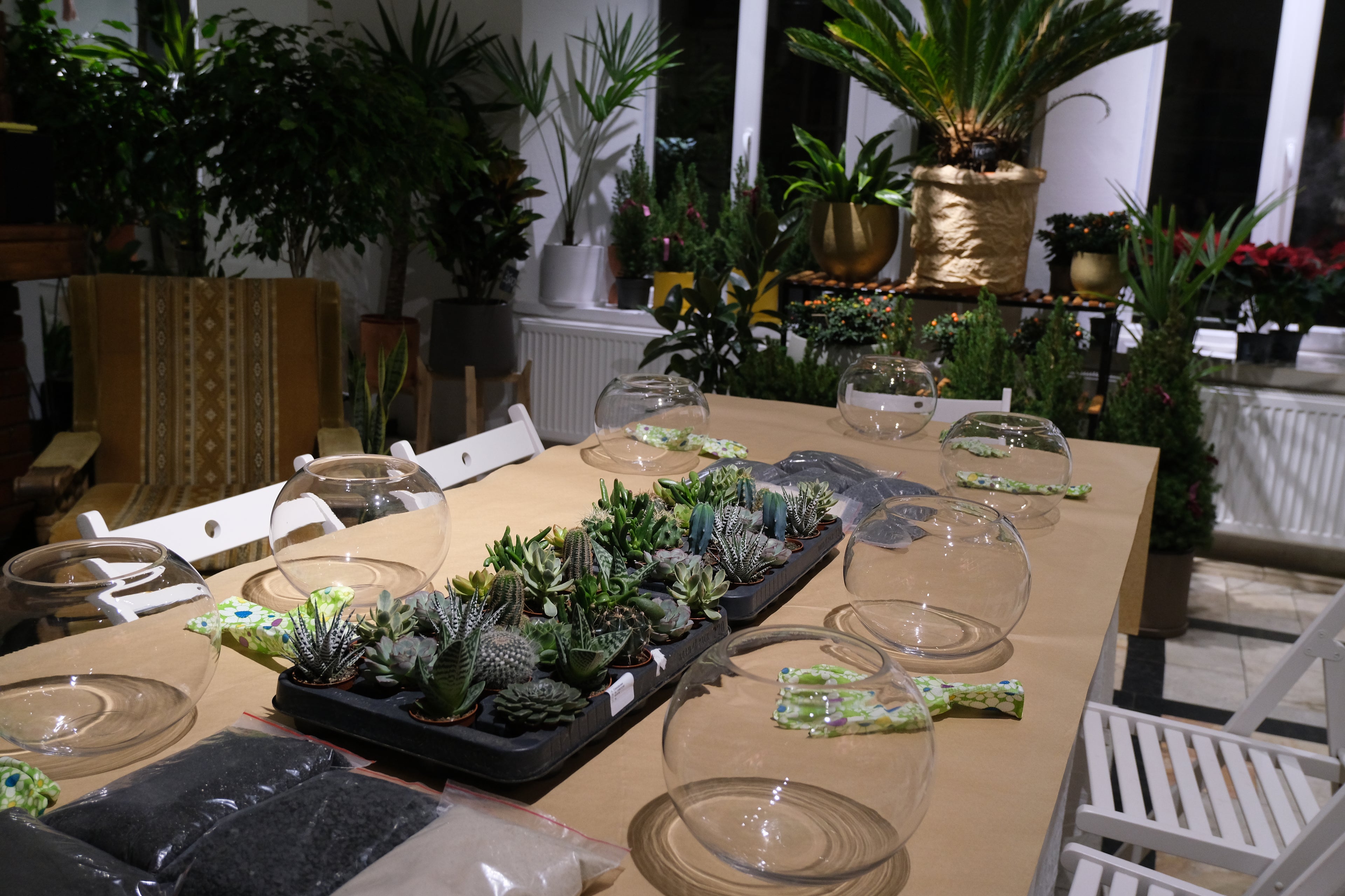 Atelier Terariu