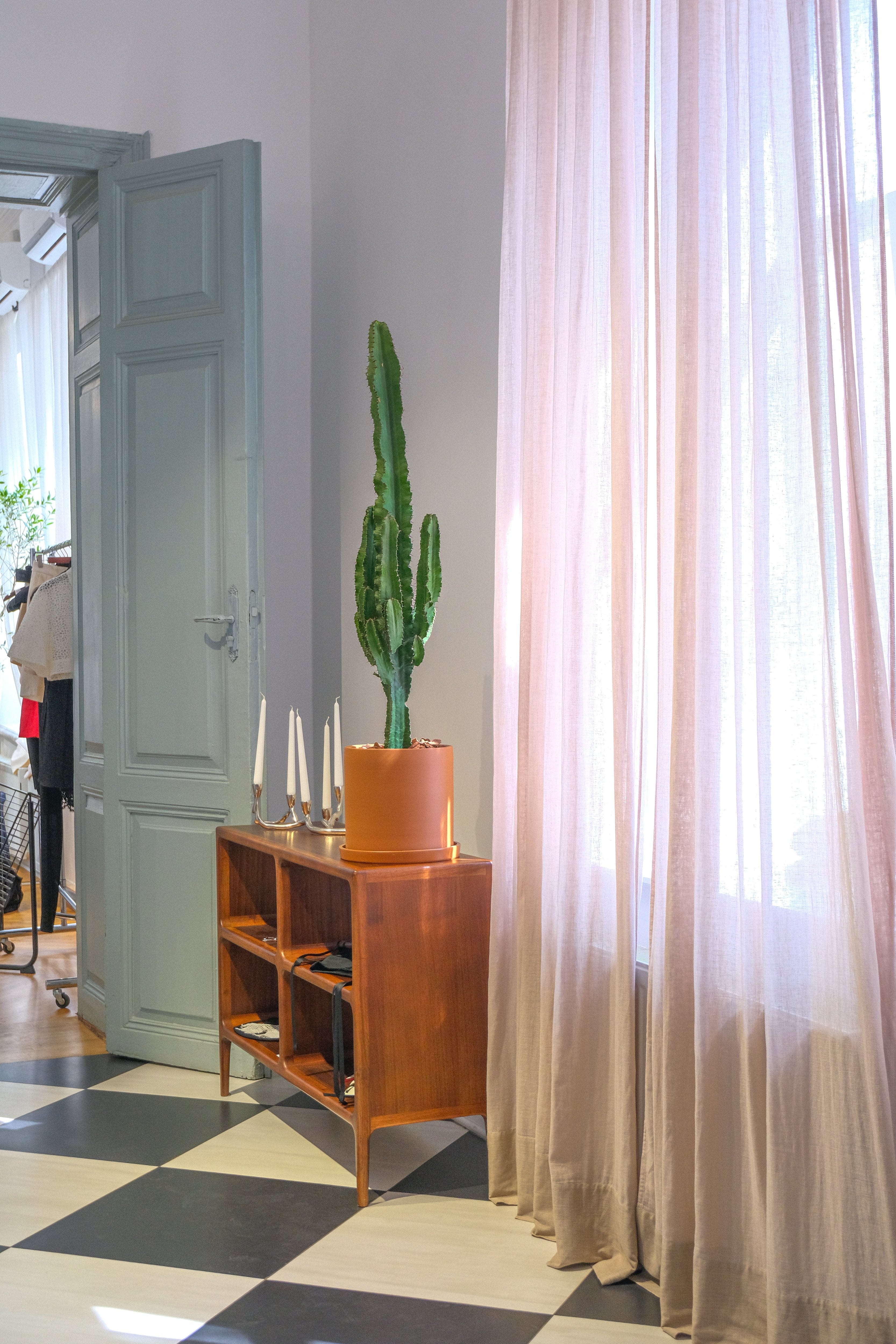 Euphorbia Eritrea - DSCF4377.jpg