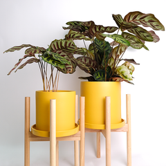 Descopera collectie de accesorii