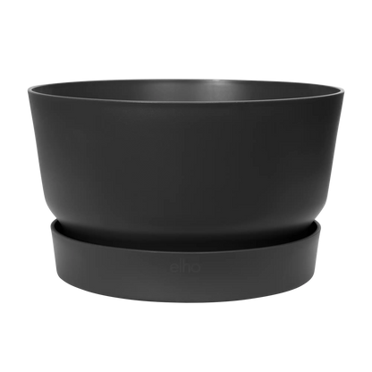 Greenville bowl