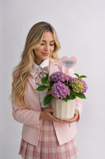 Set 4: Back to School – Hortensie