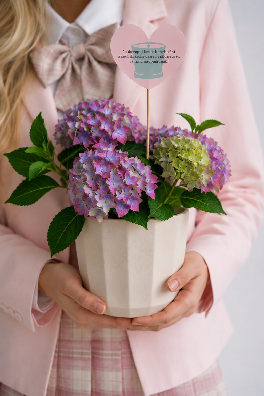 Set 4: Back to School – Hortensie