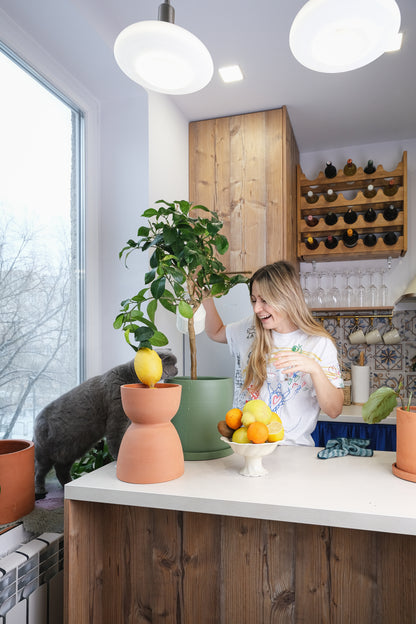 Citrus Lemon on Stem