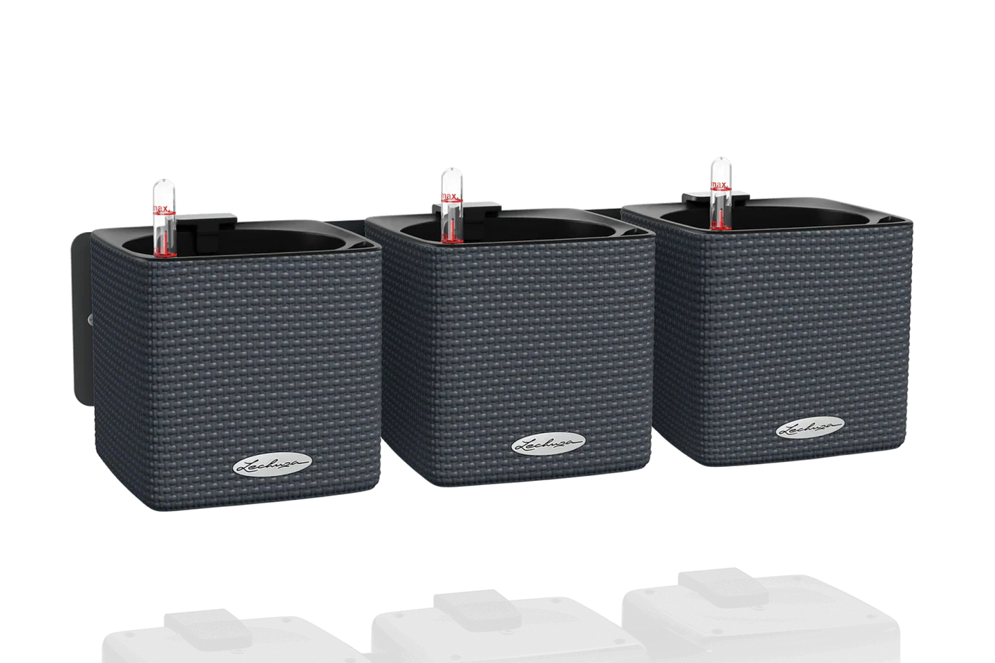 Green Wall CUBE Color 14