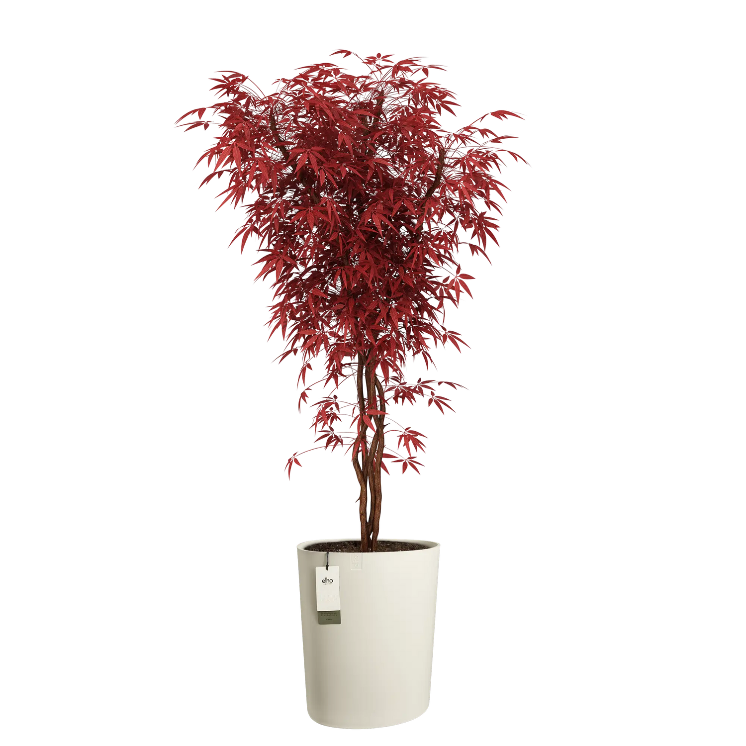 Eden aquacare