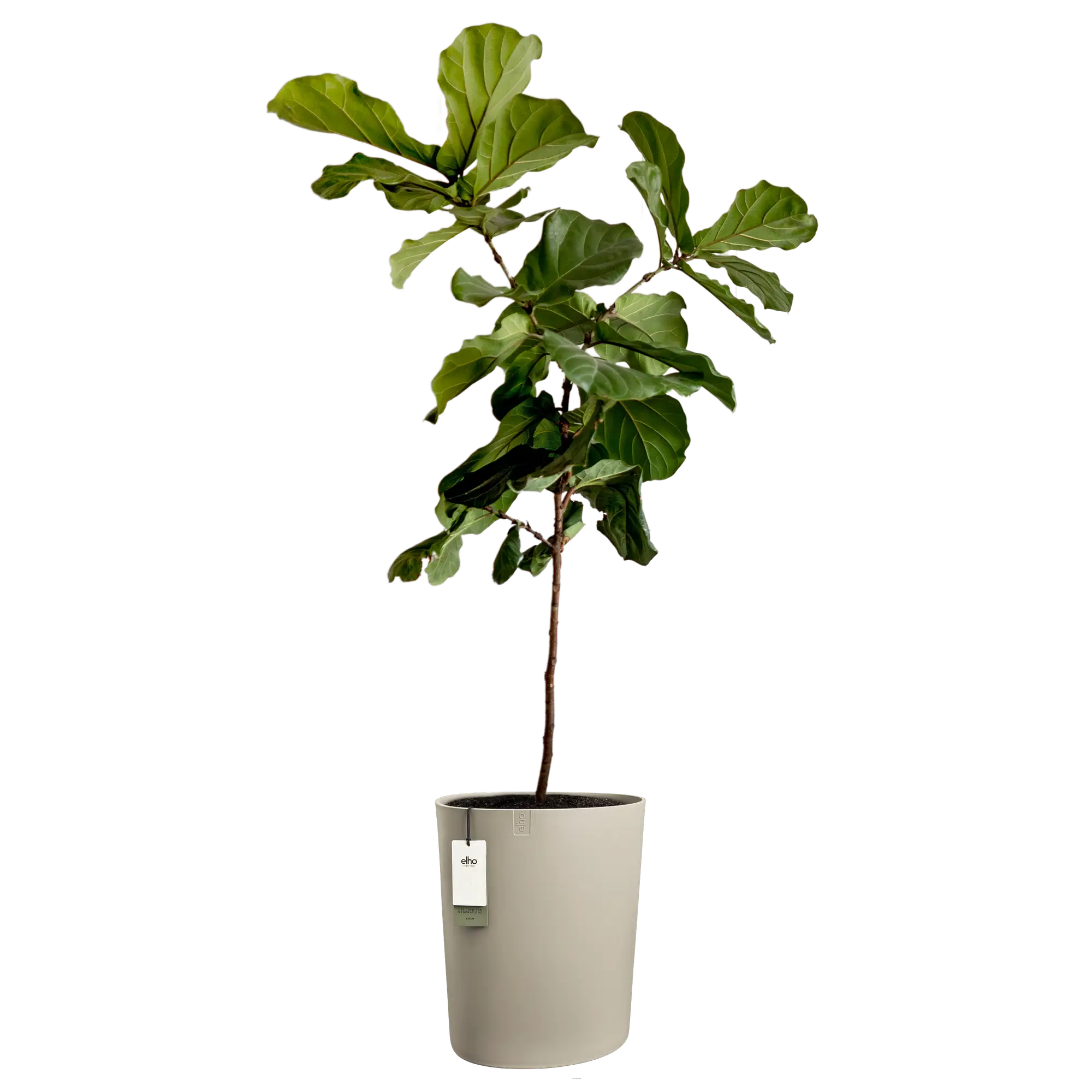 Eden aquacare