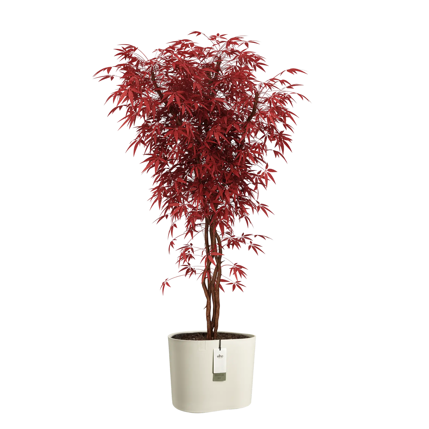 Eden aquacare