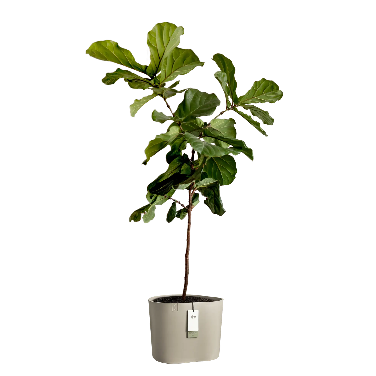 Eden aquacare