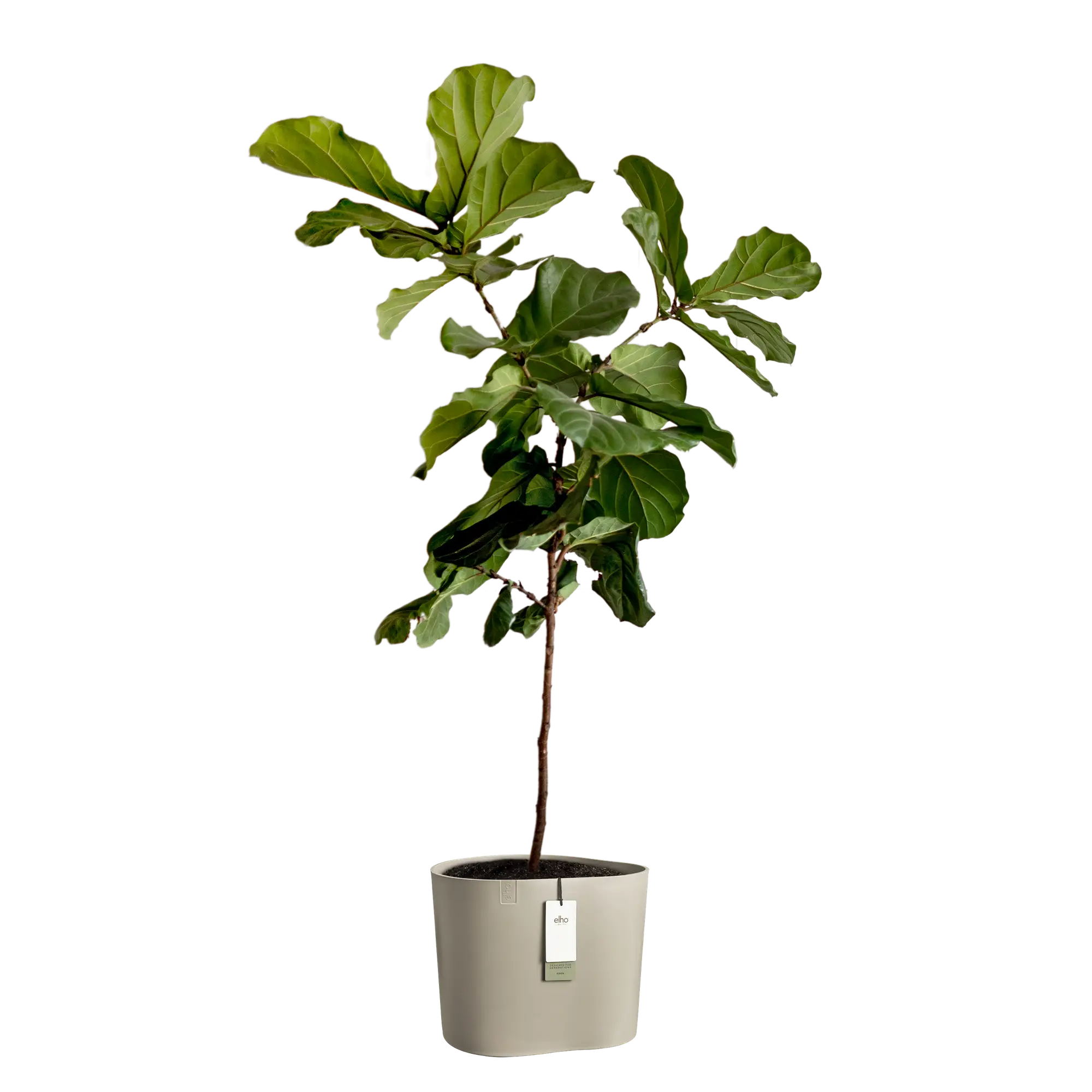 Eden aquacare