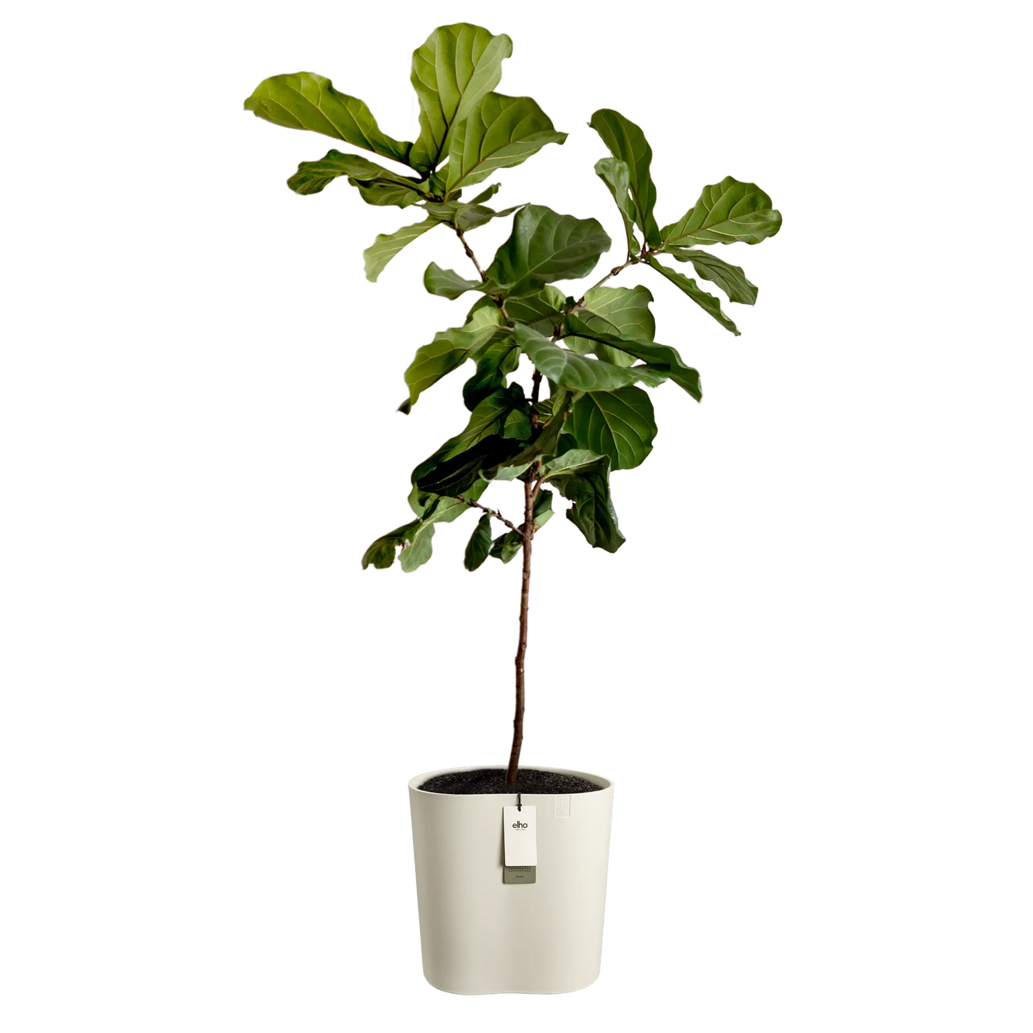 Eden aquacare