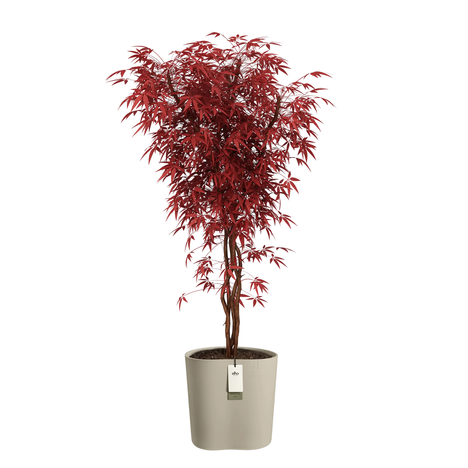 Eden aquacare