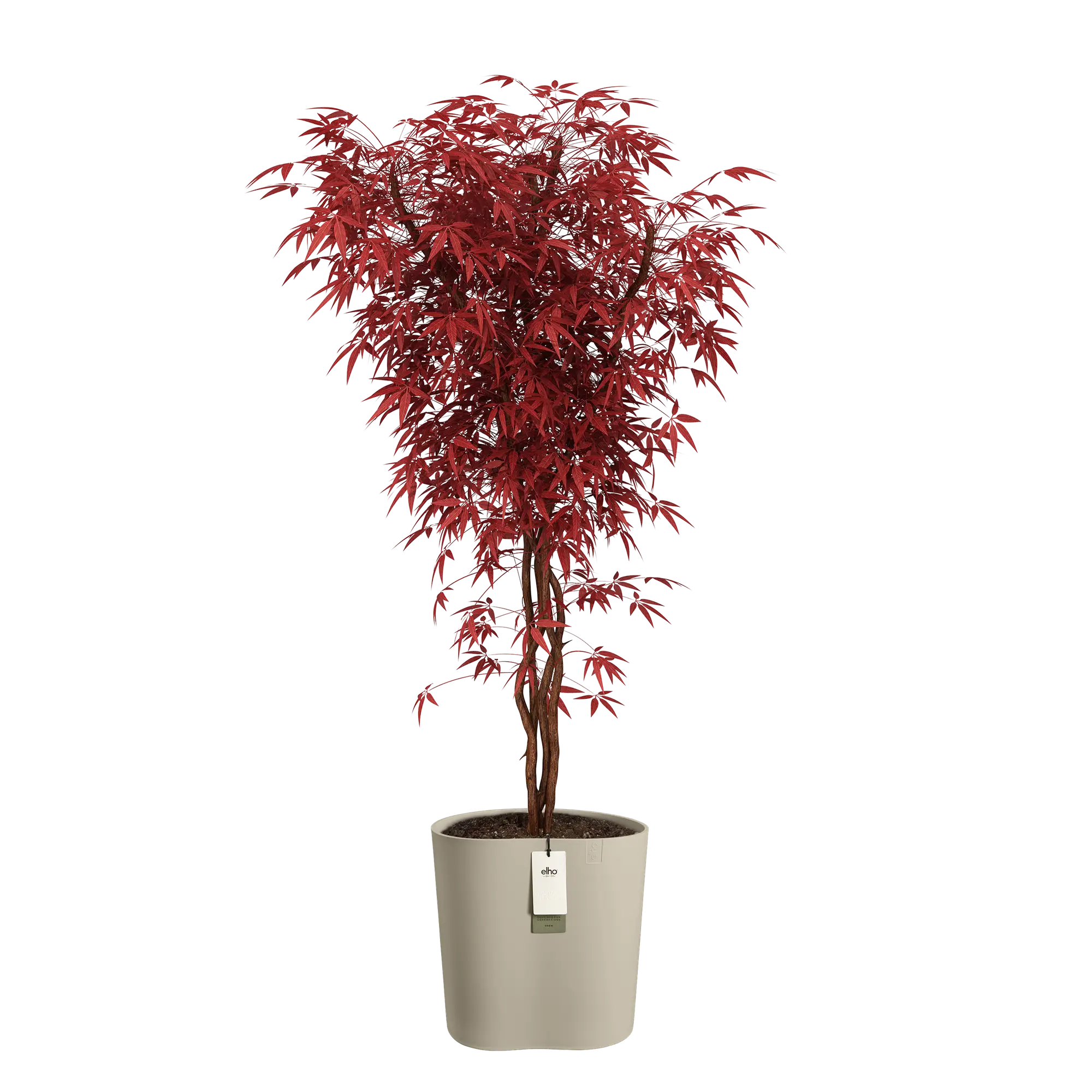 Eden aquacare