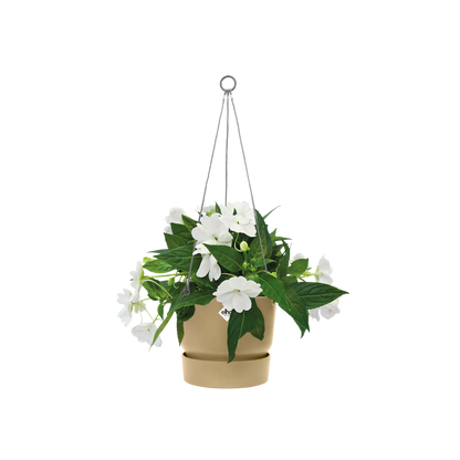 Greenville hanging basket