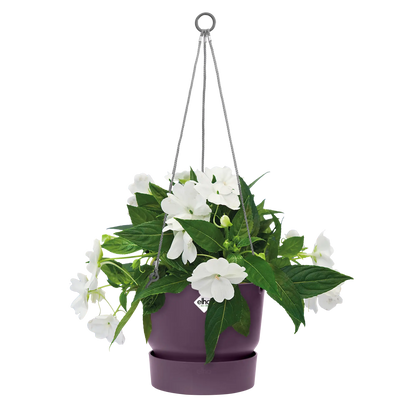 Greenville hanging basket
