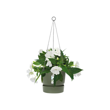 Greenville hanging basket